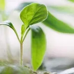 Аватар канала EcoClub. Экологичные альтернативы