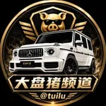 Аватар канала 大盘猪集团 @tuilu