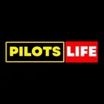 Аватар канала Жизнь Пилота 👨‍✈️