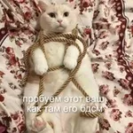 Аватар канала небдсмщица ⛓