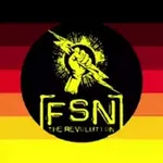 Аватар канала FSN - The Revolution