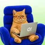 Аватар канала Работа в Островке