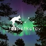 Аватар канала _topotkotov