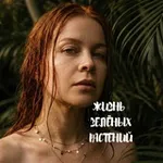 Аватар канала Life of green plants ( жизнь зелёных растений)