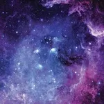 Аватар канала Кошмарный Притон 2.0 (18+)