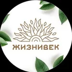 Аватар канала Жизнивек