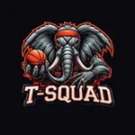 Аватар канала T-SQUAD | СЛОНЫ