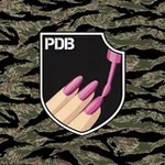 Аватар канала PETLYARIS DEATH BRIGADE