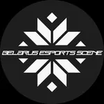 Аватар канала Belarus Esports Scene