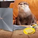 Аватар канала План Кинаки 🦦 ☕️