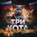 Аватар канала Три Кота|БПЛА