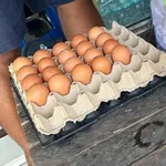 Аватар канала 发单群 🥚