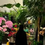 Аватар канала رُويمه.