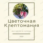 Аватар канала ЦВЕТОЧНАЯ КЛЕПТОМАНИЯ