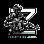 Аватар канала Секреты Винакоса