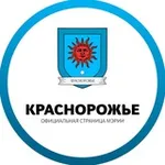 Аватар канала Мэр города Краснорожье (основа)