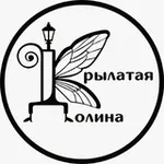 Аватар канала Театральное пространство "Крылатая долина"