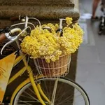 Аватар канала اليّاسمين 💛 🌷