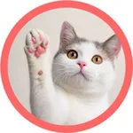 Аватар канала Мягкая лапка 🐾