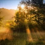 Аватар канала Heilkraft - Energetik der Natur