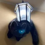 Аватар канала Hourly Martens