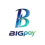 Аватар канала Bigpay Club大支付
