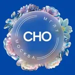 Аватар канала СНО МГЛУ
