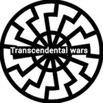 Аватар канала TRANSCENDENTAL WARS