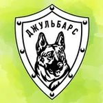 Аватар канала Центр «Джульбарс»