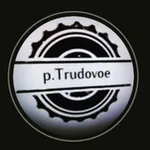 Аватар канала p.Trudovoe