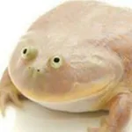 Аватар канала It is Wednesday, my dudes
