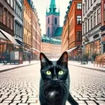 Аватар канала Швеция и соседи