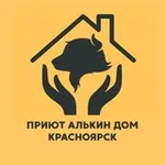 Аватар канала АЛЬКИН ДОМ