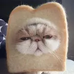Аватар канала И смех и мех 🐾