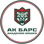 Аватар канала Академия хоккея «Ак Барс»