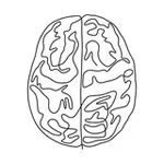 Аватар канала ANATOMY FACT