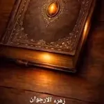 Аватар канала زهرة الارجوان 🌺 🦋