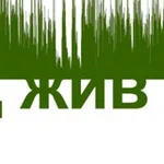 Аватар канала Перевод жив