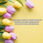 Аватар канала QR Kámbaǵallıqtı qısqartıw hám bántlik ministrligi