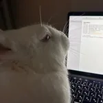 Аватар канала inkypinky