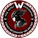 Аватар канала Вальс Валькирий