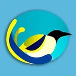Аватар канала Гнездо Клюва 🐥