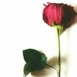 Аватар канала بيسِيآتَ