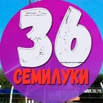 Аватар канала Семилуки 36 | Новости | Факты