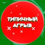 Аватар канала Типичный Агрыз - Первый паблик города