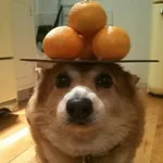 Аватар канала 🍊 Один из сотен Crypto-каналов в твоей ленте