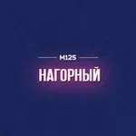 Аватар канала Нагорный район Москвы М125