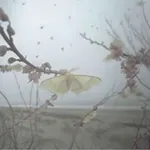Аватар канала ssokaii архив!!
