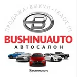 Аватар канала BUSHINUAUTO SALON