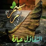 Аватар канала 🍃 🌸 التفاؤل عبادة 🌸 🍃